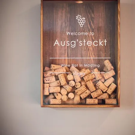 Apartmán Ausg'steckt - Wine Flat - Great Location